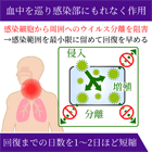 オセフル75mgの効果