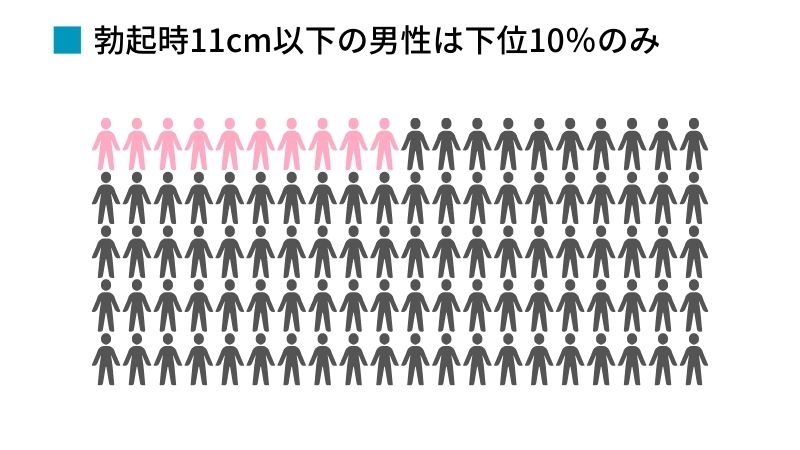 ペニスの大きさ平均は13cm！女性の理想サイズはさらにデカい！？｜薬の通販オンライン