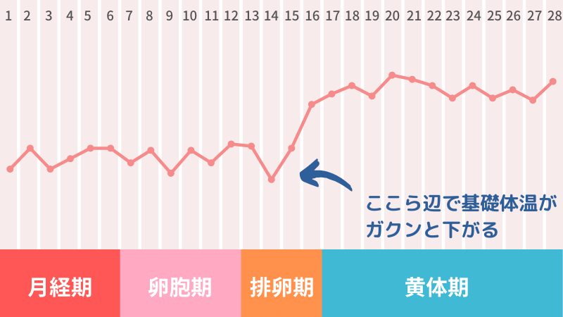 安全日とは いつを指す 危険日の 中出し 妊娠率も含めて紹介 薬の通販オンライン