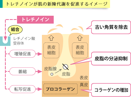 レチノaクリーム通販 高濃度0 05 最安値 1本911円 薬の通販オンライン