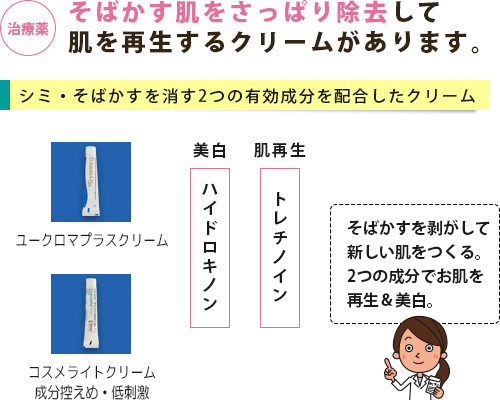 雀卵斑 そばかす がよくわかる疾患ガイドページ 薬の通販オンライン